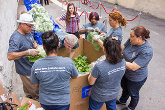 Volunteers packing produce into bags. Links to Gifts of Real Estate